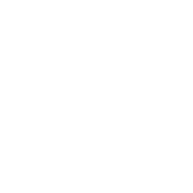 Calgary Flames